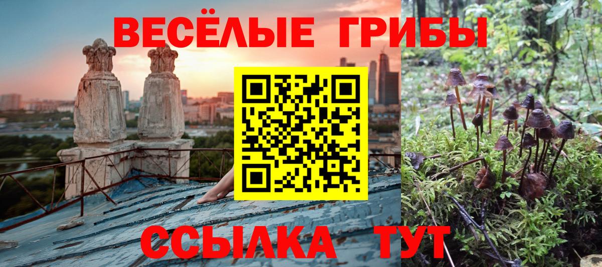 Псилоцибиновые грибы ЛСД Бор
