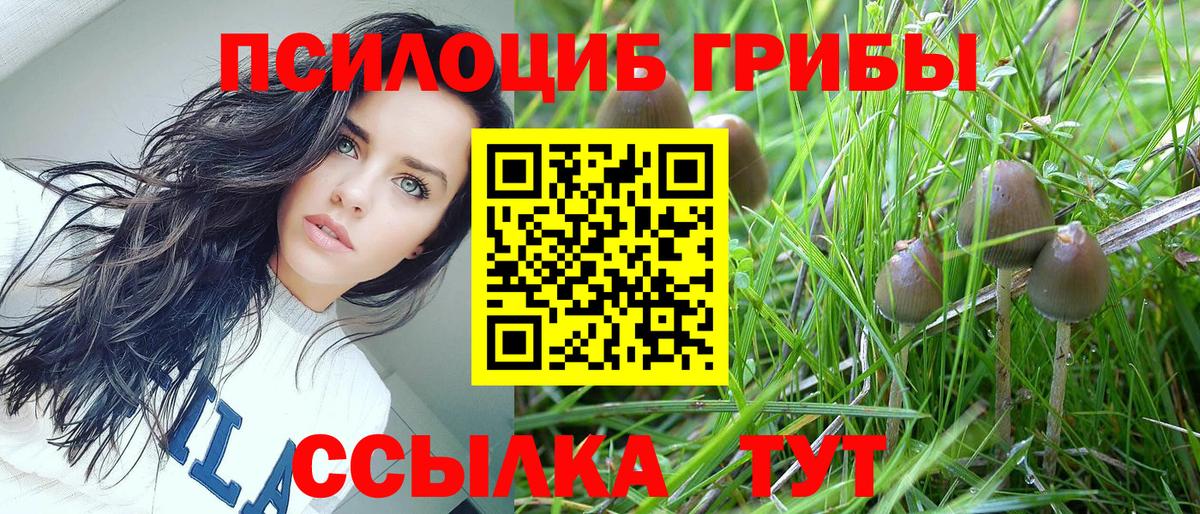 Галлюциногенные грибы Psilocybe  Вход с VPN  Бор 