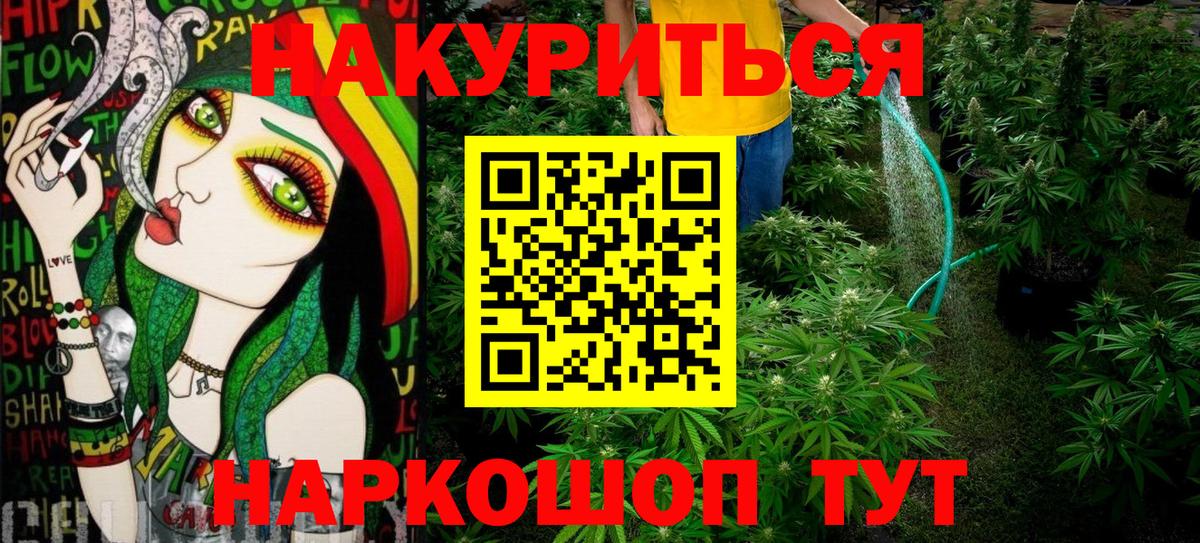 Конопля сатива Бор